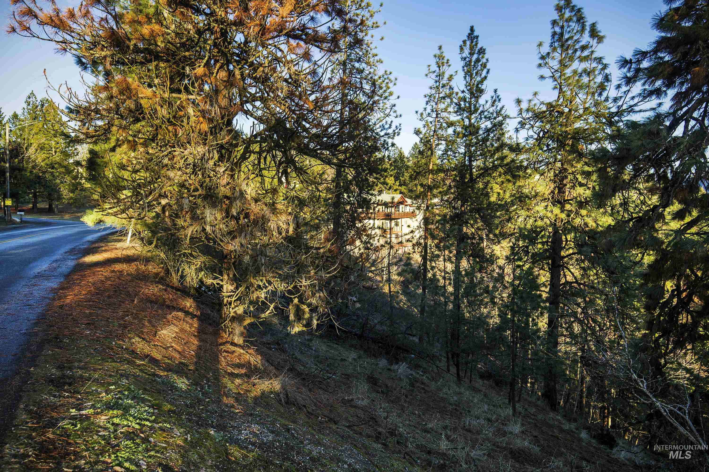 Nna East Fernan Hill Road Coeur D'Alene, ID 83814 - Photo 6 of 13