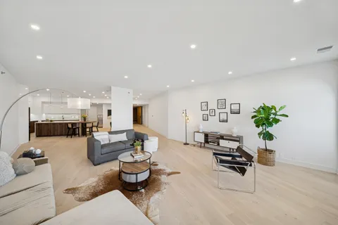 a living room with furniture and a potted plant