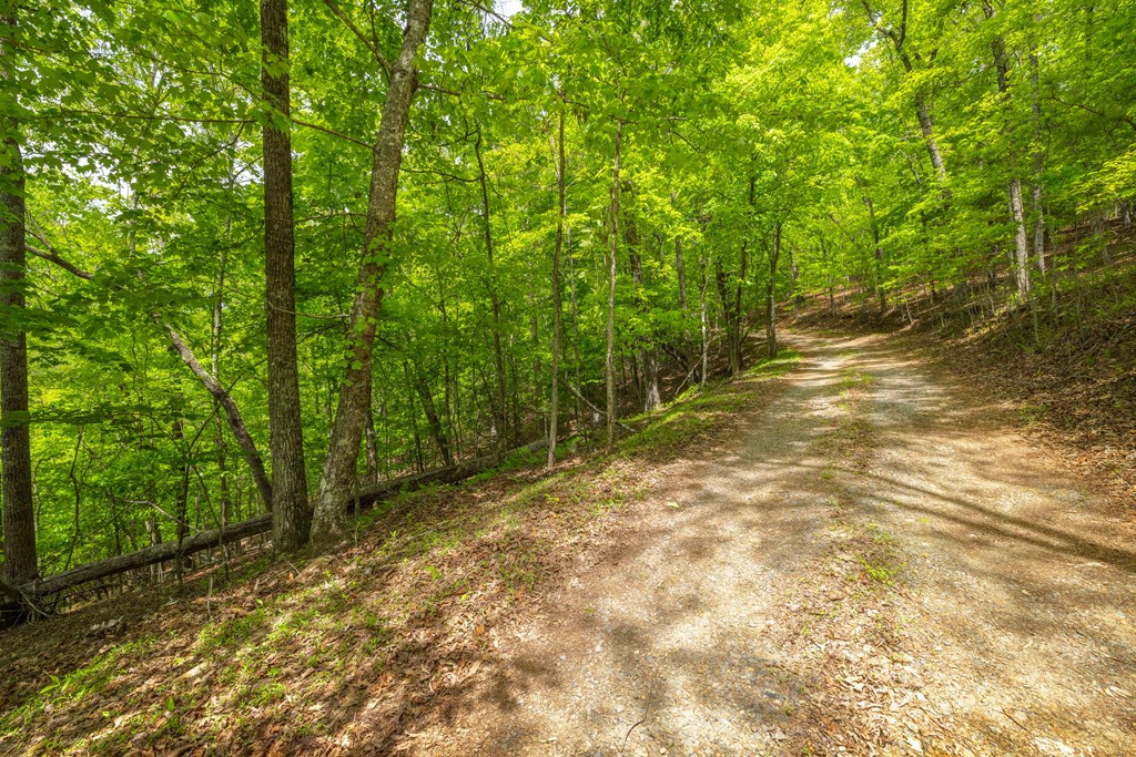 2.90-acre Galloway Road Blue Ridge, GA 30513 - Photo 10 of 15 Gallery Image 10