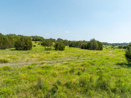 a view of a garden with a building