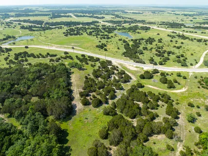a view of a golf course with a tree