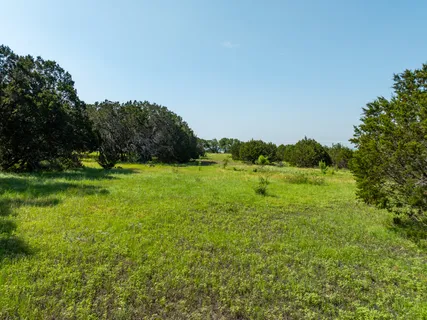 a view of grassy field with trees