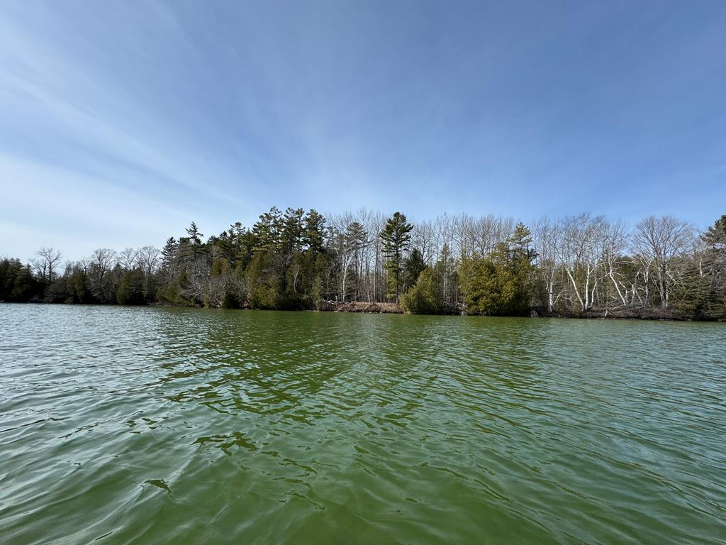 Tbd Logerquist Road Baileys Harbor, WI 54202 - Photo 6 of 38 Gallery Image 6
