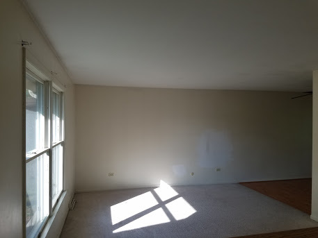 22515 Riverside Drive Richton Park, IL 60471 - Photo 19 of 23