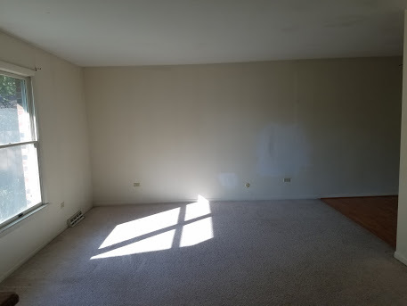 22515 Riverside Drive Richton Park, IL 60471 - Photo 3 of 23