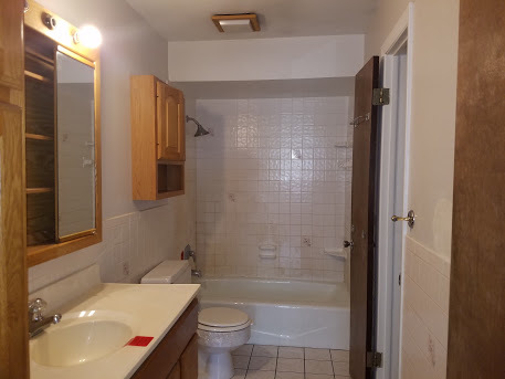 22515 Riverside Drive Richton Park, IL 60471 - Photo 8 of 23