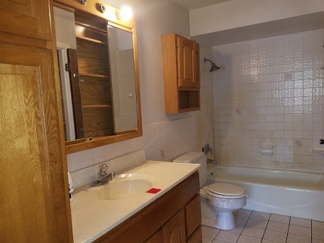 22515 Riverside Drive Richton Park, IL 60471 - Photo 9 of 23