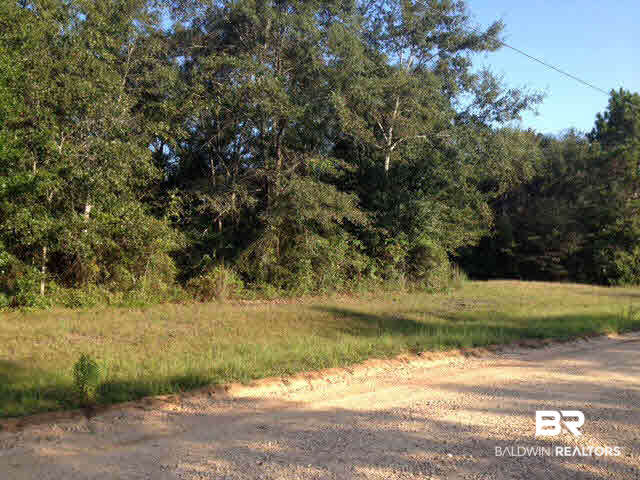 12321 Sandy Creek Drive Foley, AL 36535 - Photo 1 of 1