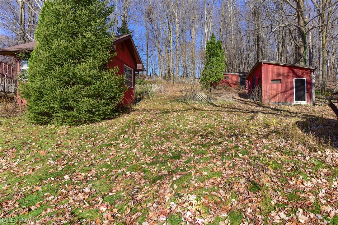 Wisner Road Hanoverton, OH 44423 - Photo 3 of 5 Gallery Image 3