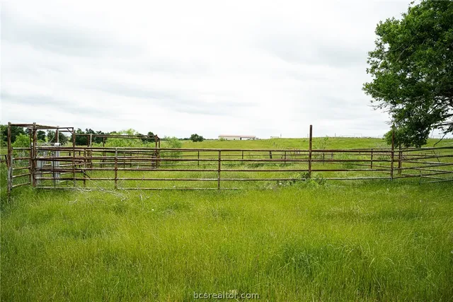 a view of a field with an ocean