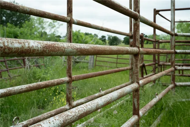 a bird view of a garden