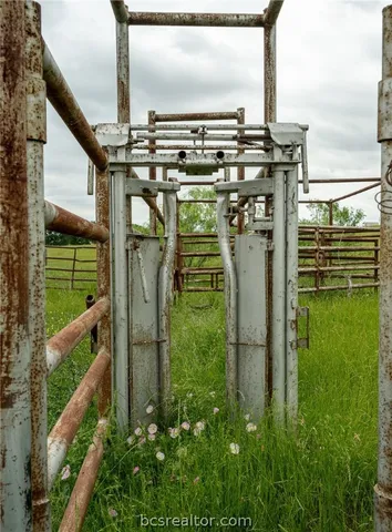a view of a lush green forest with lawn chairs and plants