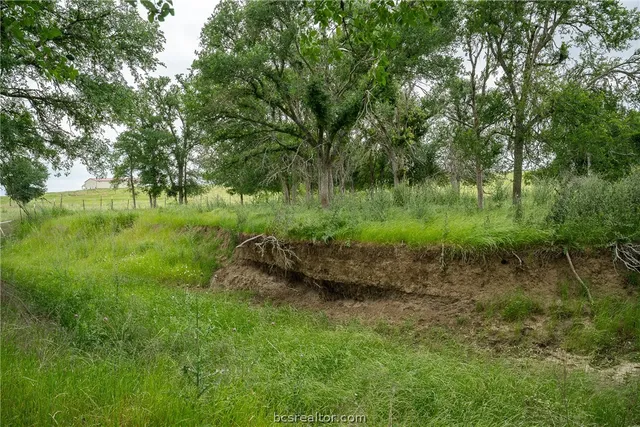 a view of a lake with green space