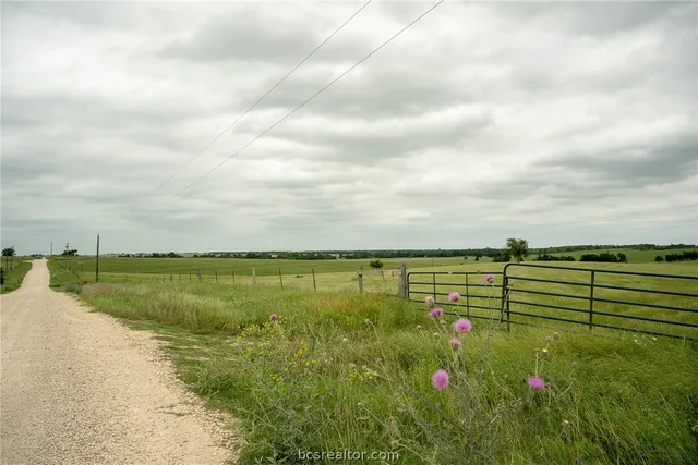 a close view of dining table