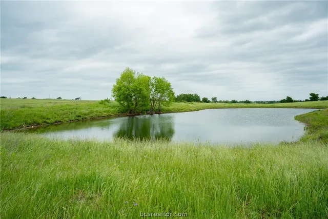 a view of an ocean from a yard