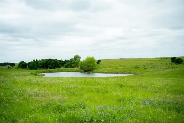 a view of a lake from a yard