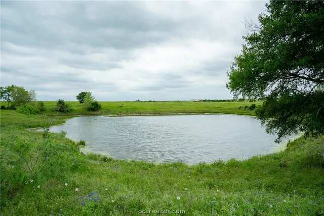 a view of an ocean and beach