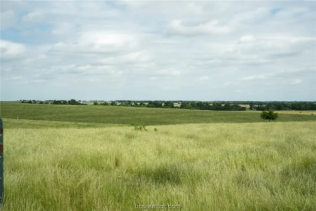 a view of an ocean from a yard