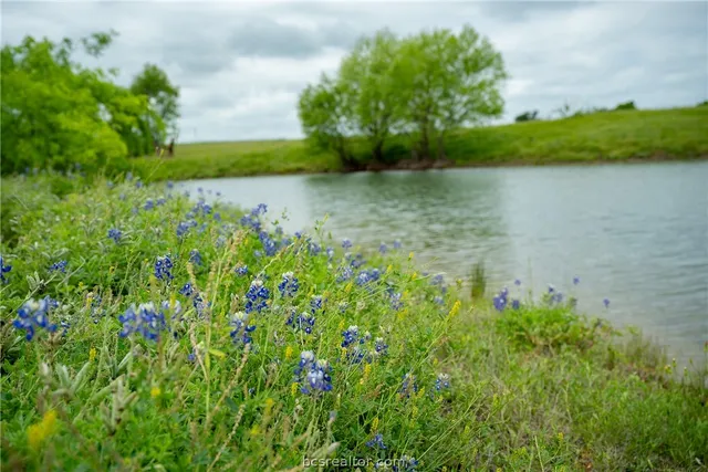 a view of a lake with a lake