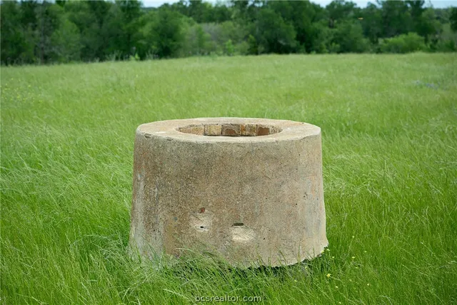 a view of a lush green yard
