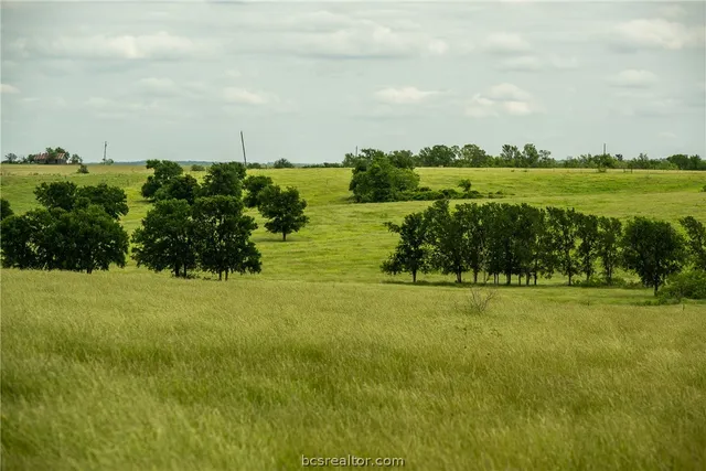 a view of green field