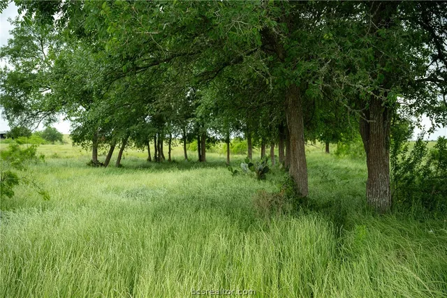 $1,900,000 | 1716 Cr 469 Thrall Tx 78615, Coupland, TX 78615