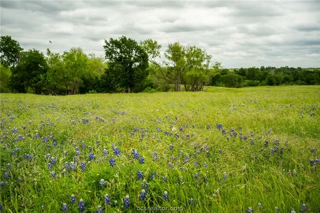 $1,900,000 | 1716 Cr 469 Thrall Tx 78615, Coupland, TX 78615