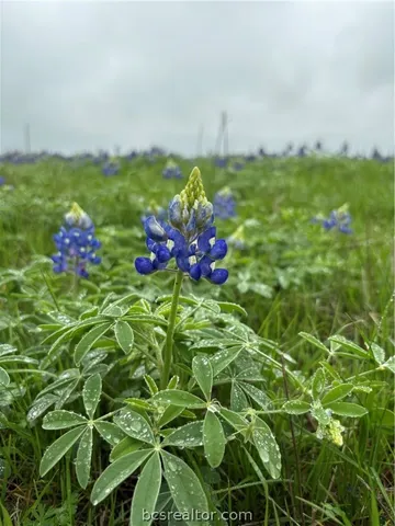 a view of yard with ocean view
