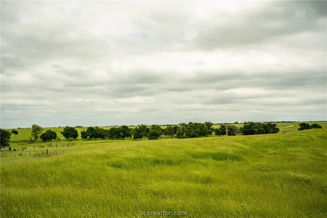 a view of an ocean from a yard