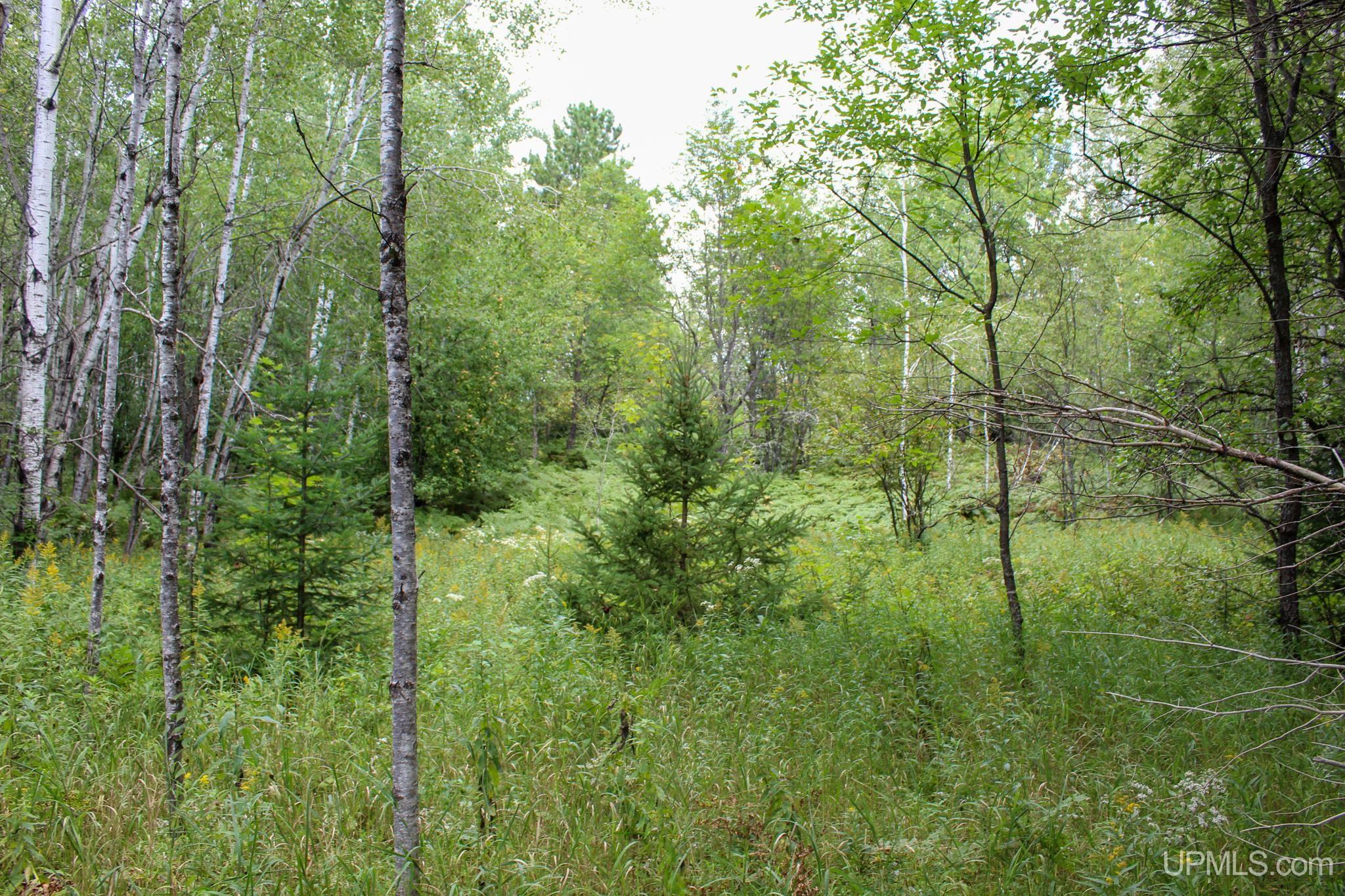 Tbd Michaelson Road Pelkie, MI 49958 - Photo 70 of 73 Gallery Image 70