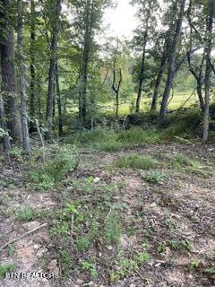 Wells Road Powell, TN 37849 - Photo 5 of 12 Wells Rd 7