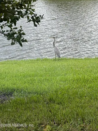 $488,000 | 501 North Legacy Trail, St. Augustine, FL 32092