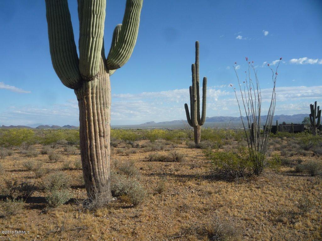 5805 North Abington Road, Unit 117 Tucson, AZ 85743 - Photo 6 of 15