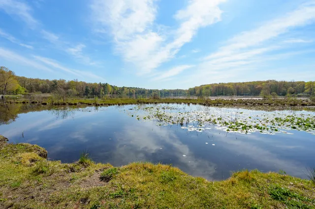 $315,000 | 11131 County Road 215, Grand Junction, MI 49056