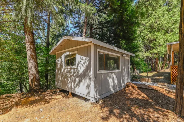 a view of a yard with tree