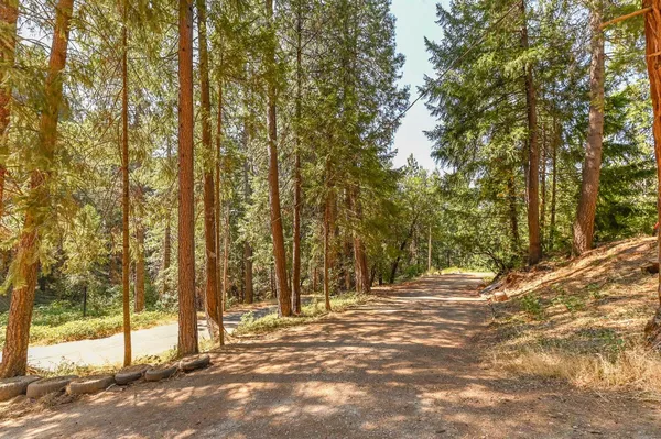$398,000 | 16320 Pioneer Creek Road, Pioneer, CA 95666