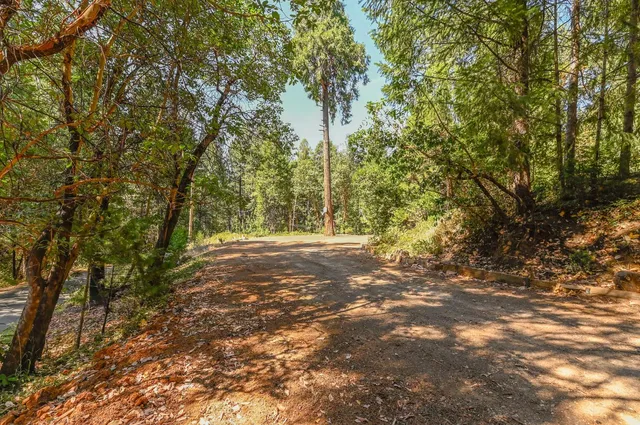 $399,000 | 16320 Pioneer Creek Road, Pioneer, CA 95666
