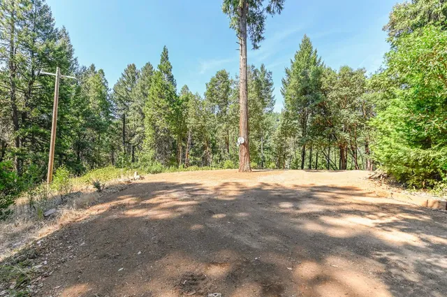$399,000 | 16320 Pioneer Creek Road, Pioneer, CA 95666