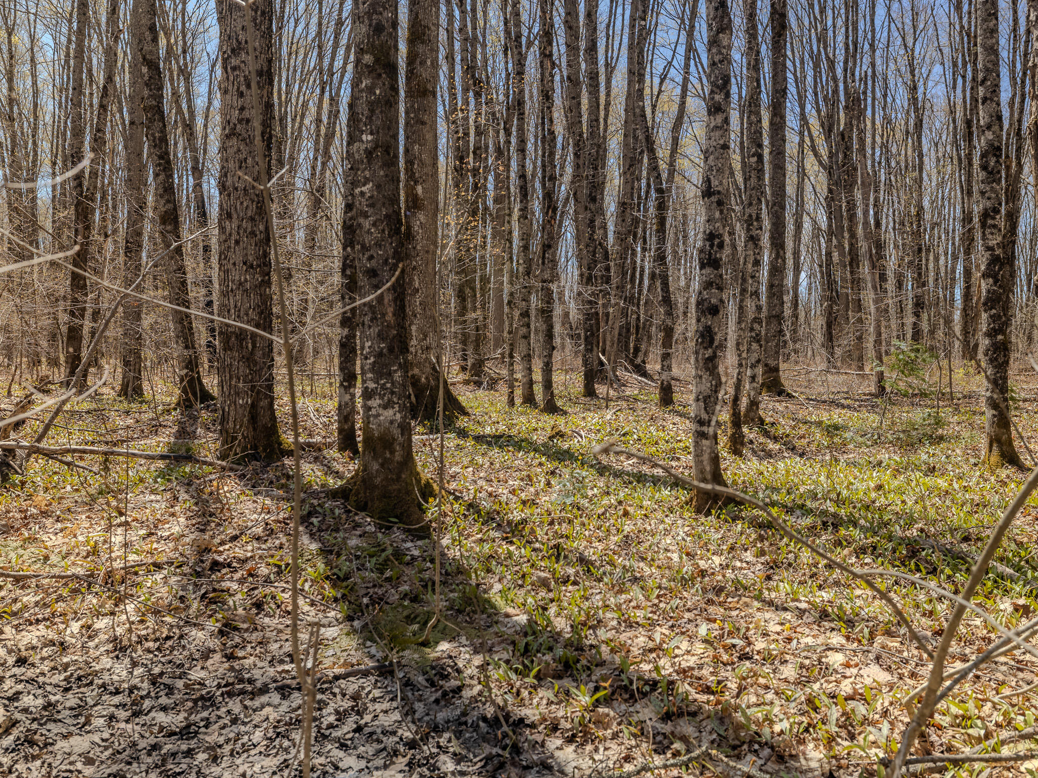Lot3 East Shore Road Ewen, MI 49925 - Photo 18 of 25 048A2064-HDR