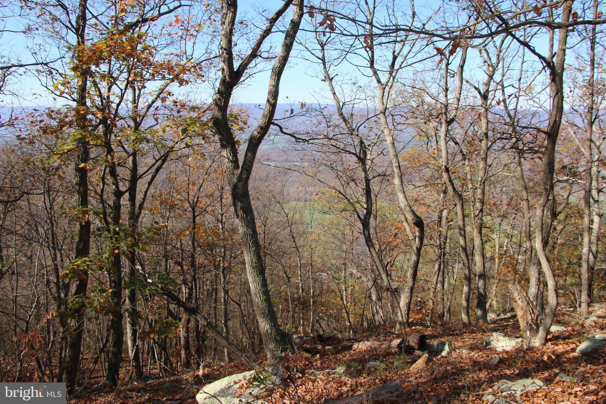 Cedar Road Strasburg, VA 22657 - Photo 1 of 41