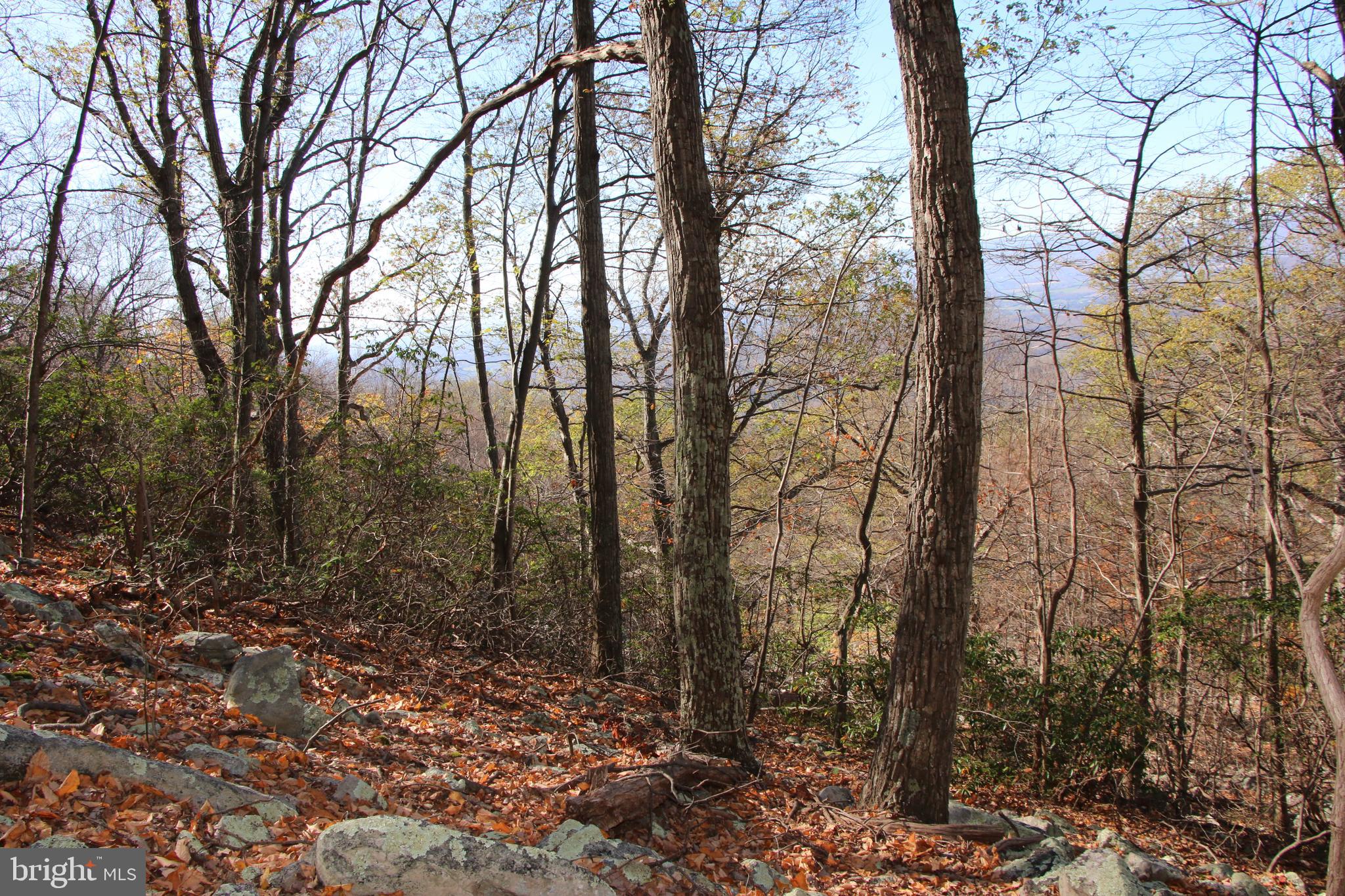 Cedar Road Strasburg, VA 22657 - Photo 14 of 41