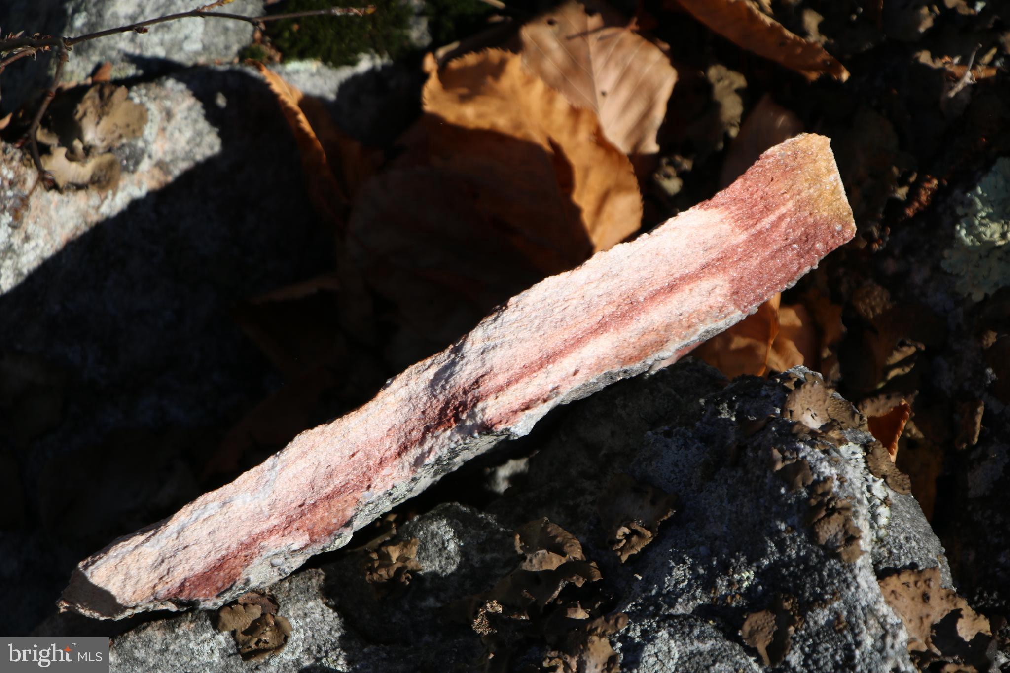 Cedar Road Strasburg, VA 22657 - Photo 17 of 41