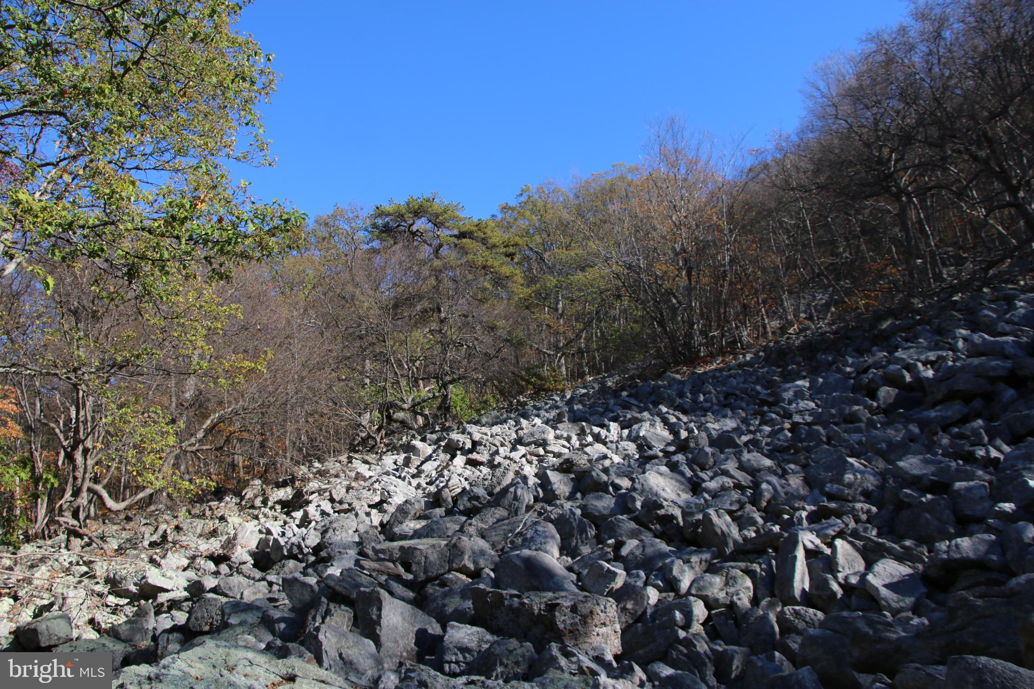 Cedar Road Strasburg, VA 22657 - Photo 18 of 41