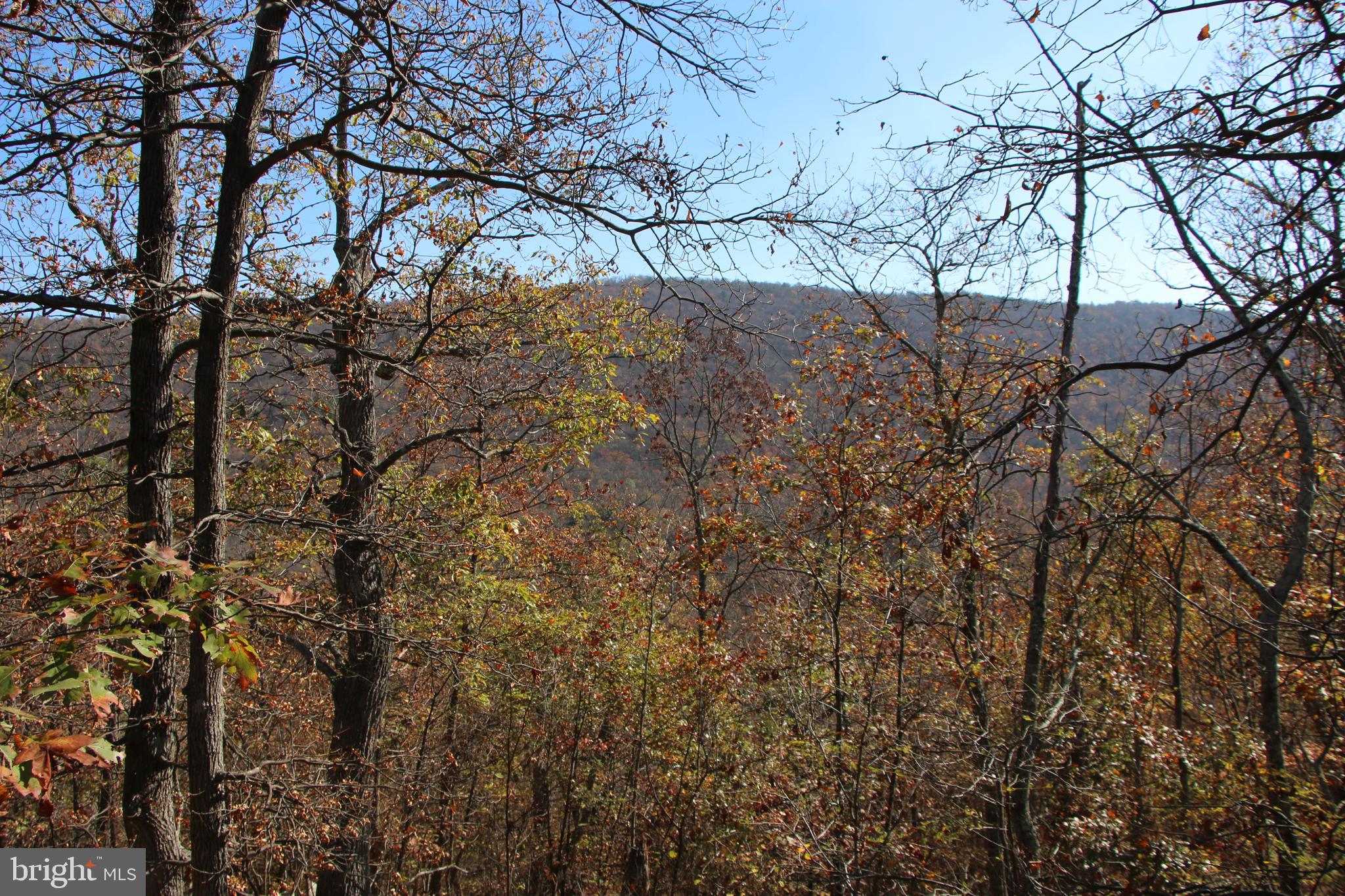 Cedar Road Strasburg, VA 22657 - Photo 19 of 41