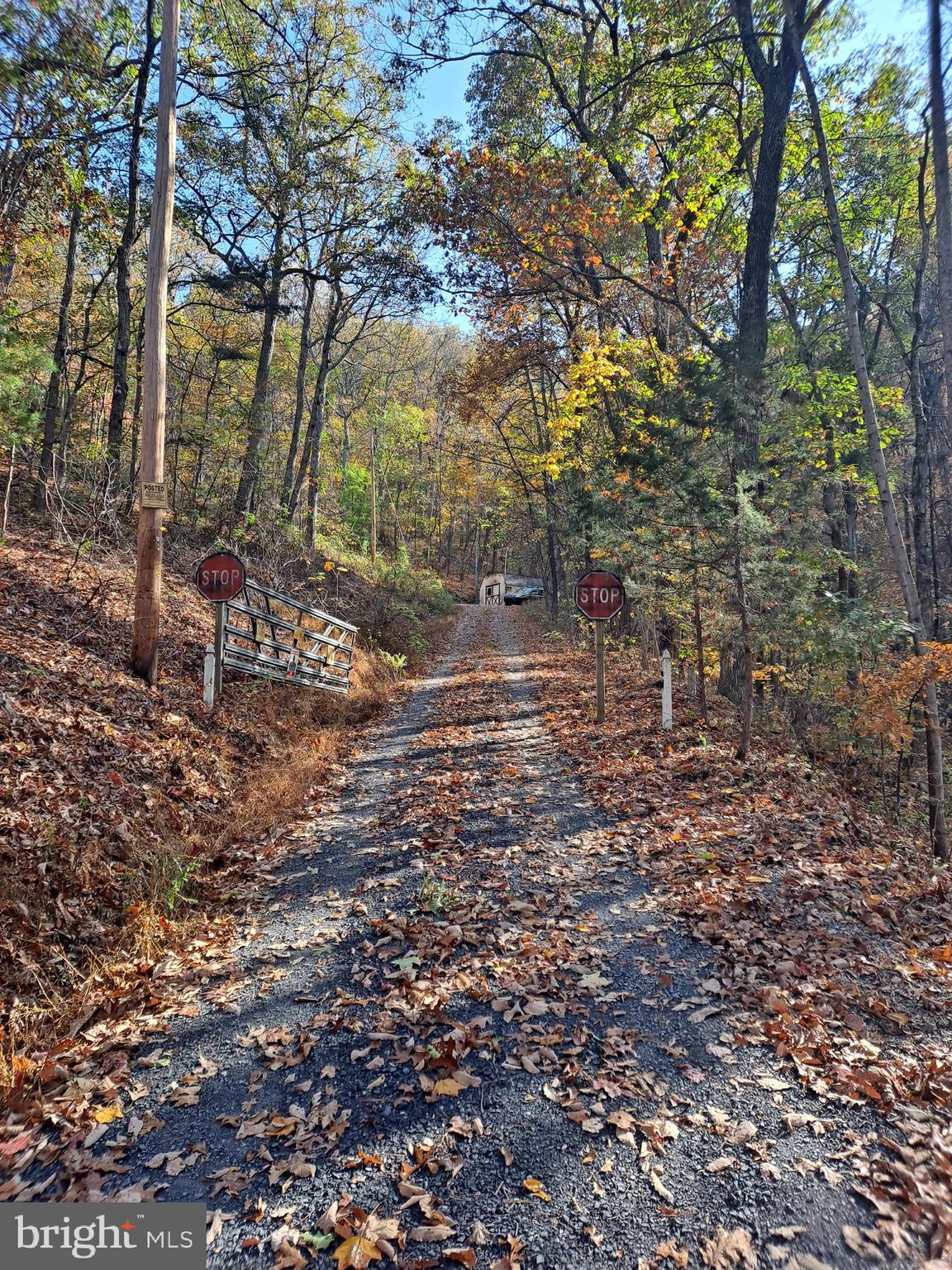 Cedar Road Strasburg, VA 22657 - Photo 2 of 41