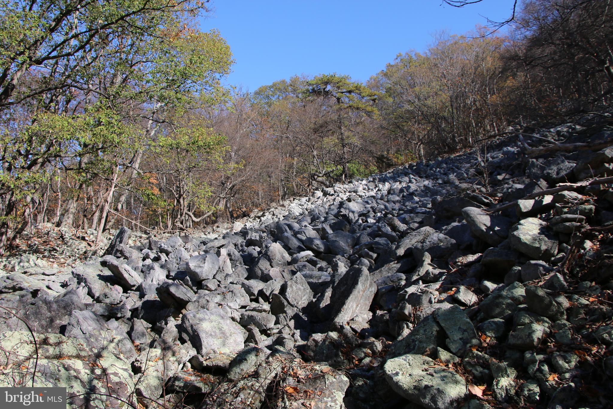 Cedar Road Strasburg, VA 22657 - Photo 21 of 41