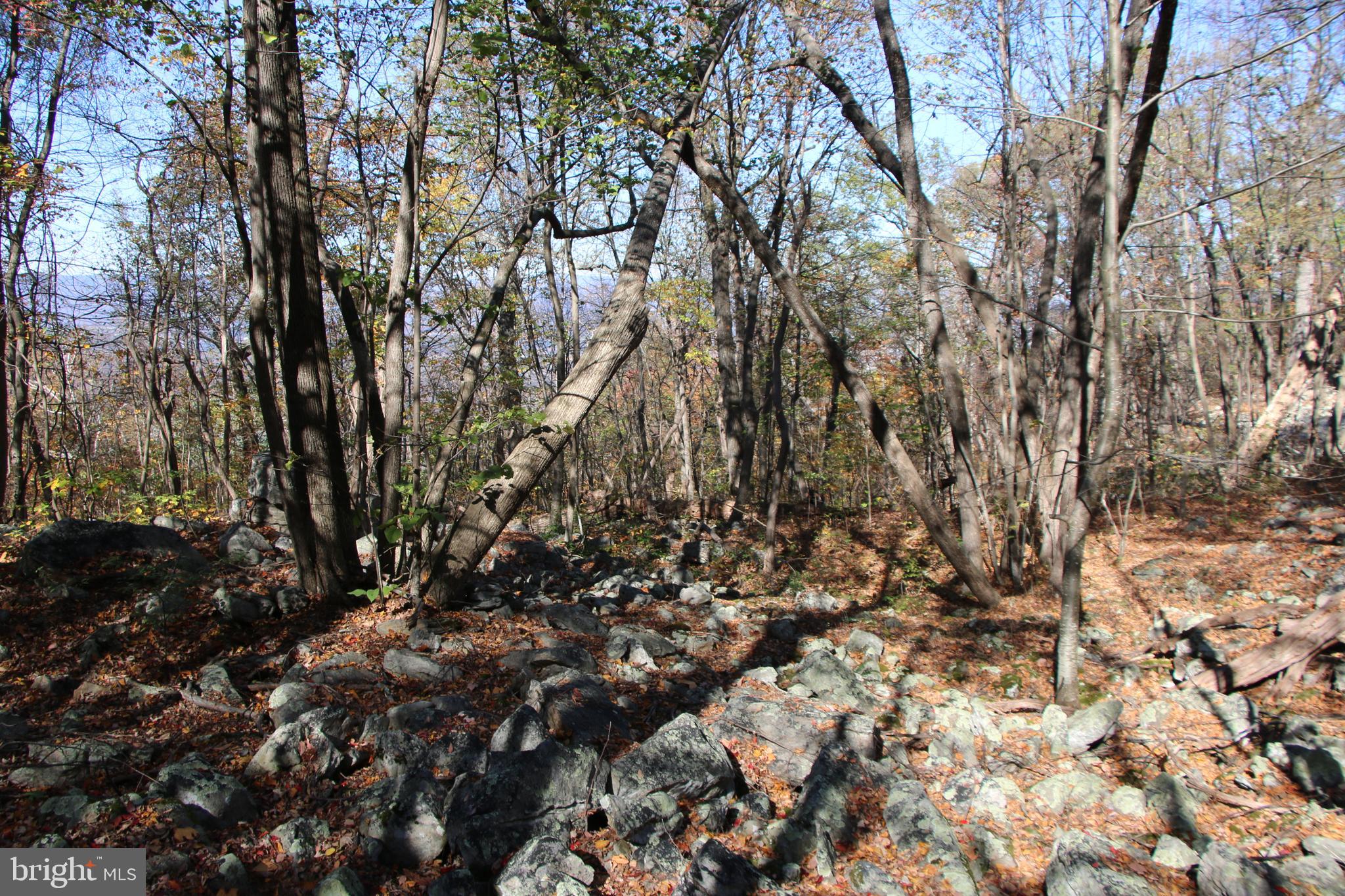 Cedar Road Strasburg, VA 22657 - Photo 22 of 41