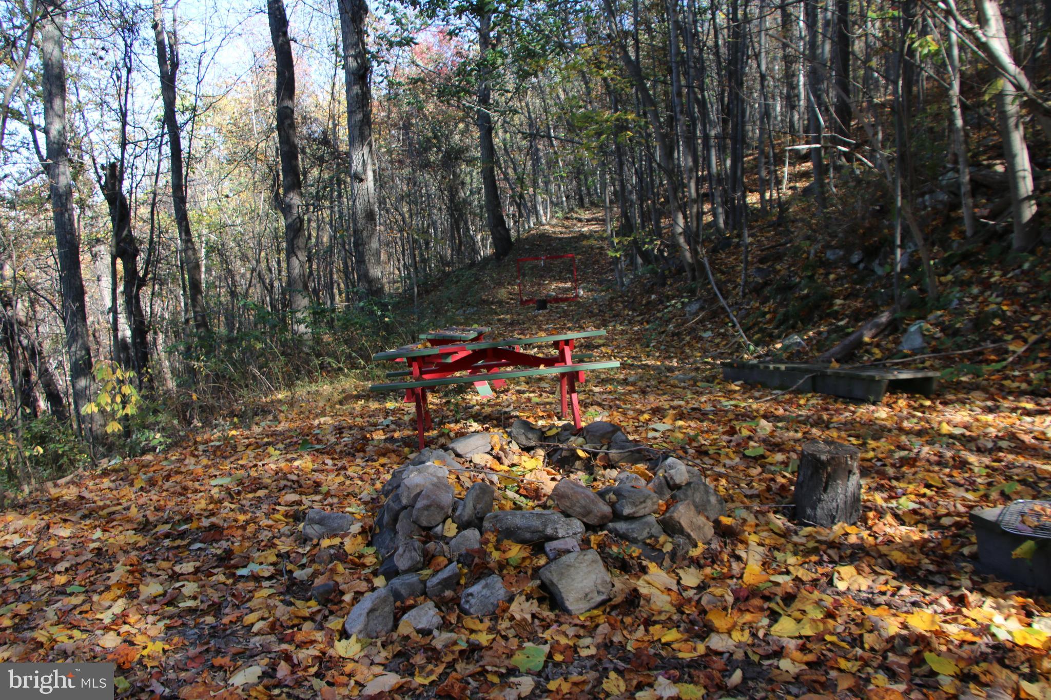 Cedar Road Strasburg, VA 22657 - Photo 28 of 41