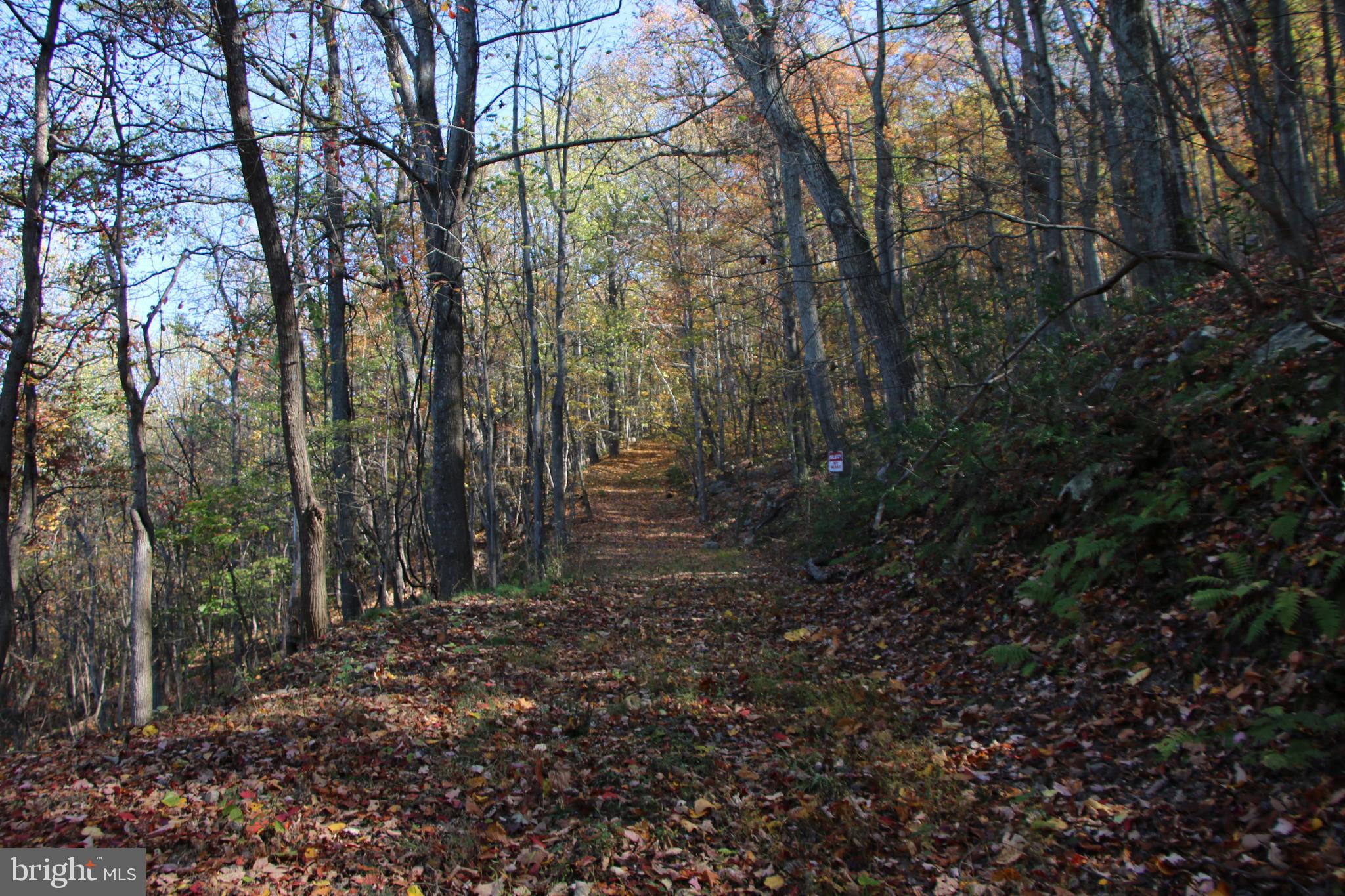 Cedar Road Strasburg, VA 22657 - Photo 30 of 41