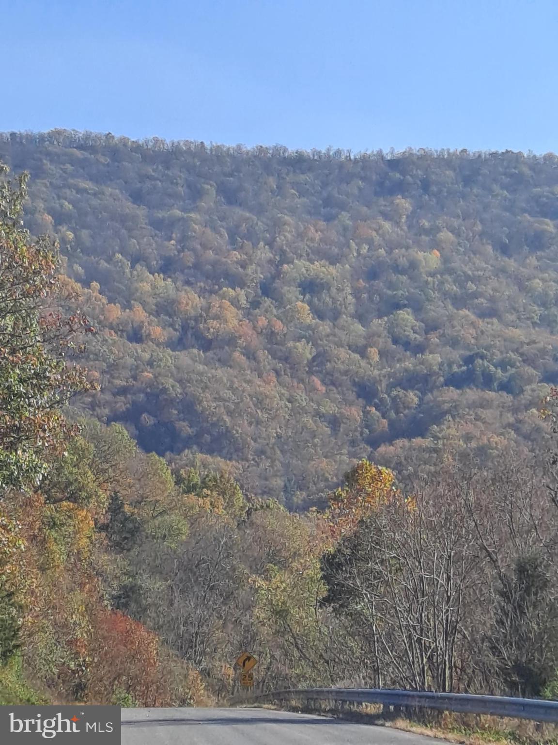 Cedar Road Strasburg, VA 22657 - Photo 36 of 41